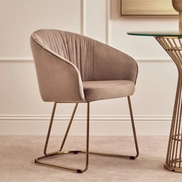 Orsina Mink Velvet Dinner Chair , Easy To Care Armrest Accent Dining Chair, Easily Adjustable Indoor Chair