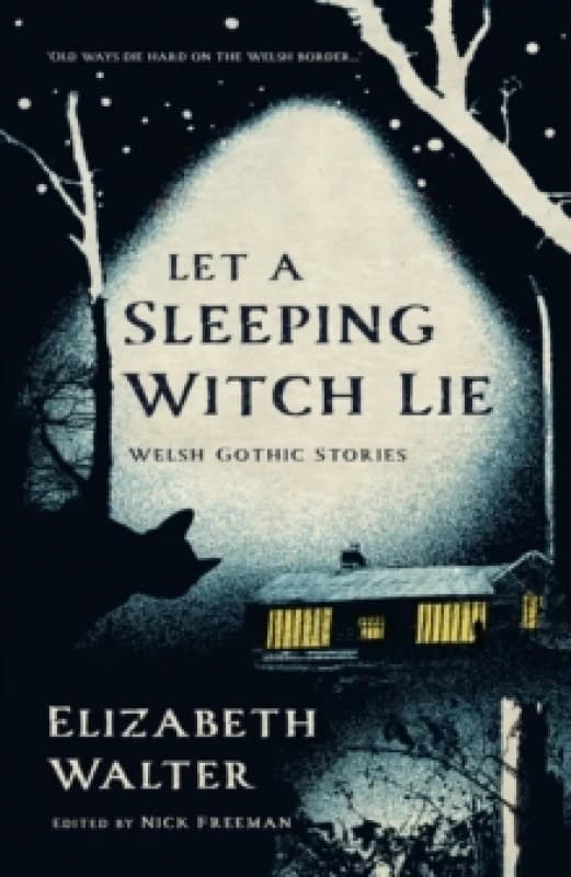Let a Sleeping Witch Lie : Welsh Gothic Stories by Elizabeth Walter Paperback / softback