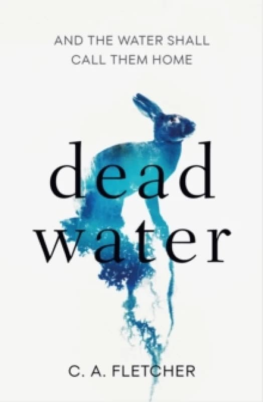 Dead Water. Paperback. By Charlie Fletcher Books