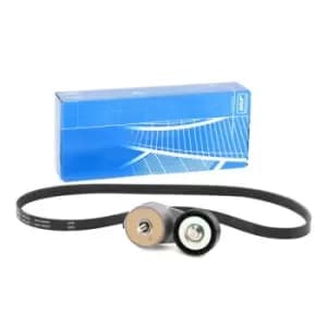 SKF V-ribbed belt set OPEL,FIAT,ALFA ROMEO VKMA 32302 55232827,55242399,55258443 55193330,55193795,55232450,55232827,55242399,55258443,6000100155