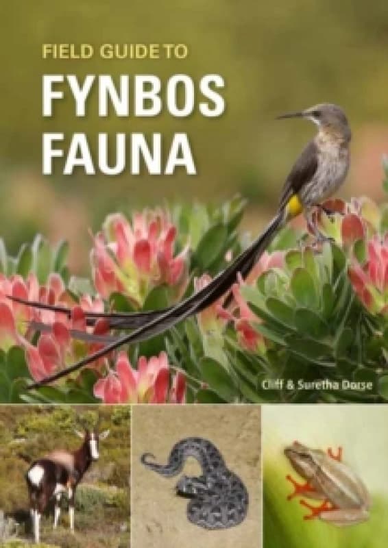 Field Guide to Fynbos Fauna Paperback / softback