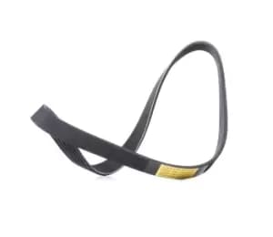 RIDEX V-ribbed belt FORD,FIAT,PEUGEOT 305P0520 55202584,11287795036,05750F 5750E7,5750FS,5750FT,5750J0,5750TZ,5750VL,5750YP,5750ZF,9640115880,5750ZF