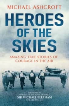 Heroes of the Skies by Michael Ashcroft Paperback