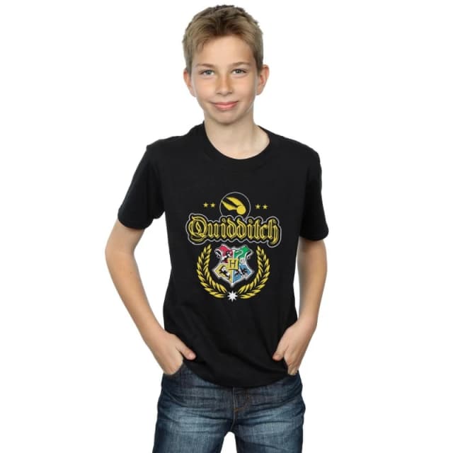 Harry Potter Quidditch Crest T-Shirt Black male