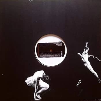 Tim Burgess & Peter Gordon - Temperature High (Benjamin Fre Vinyl