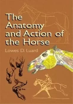 The anatomy and action of the horse by Lowes Dalbiac Luard