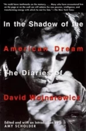 in the shadow of the american dream the diaries of david wojnarowicz