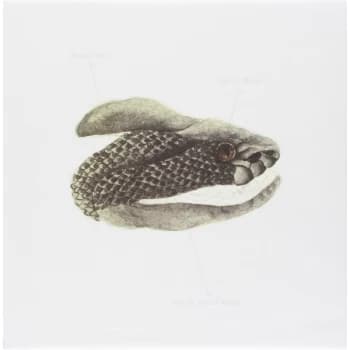 Brand New - Mene Vinyl