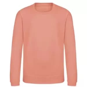 AWDis Just Hoods Childrens/Kids Sweatshirt (12-13 Years) (Dusty Pink)
