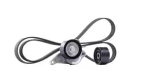 SKF V-ribbed belt set RENAULT,NISSAN VKMA 36084 119202462R,119230802R,11923802R 1172000Q1C,1172000Q1P,1172000Q1T,1172000Q5C,1172000Q9M,11720JD00B