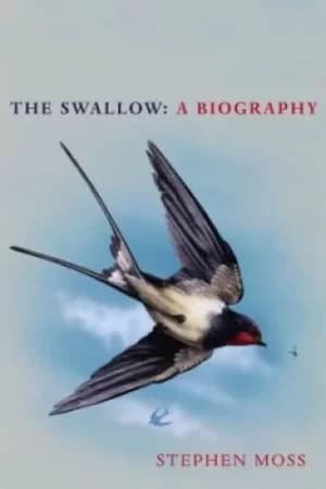 The swallow by Stephen Moss