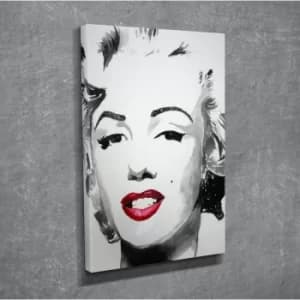 DC220 Multicolor Decorative Canvas Painting