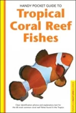 handy pocket guide to tropical coral reef fishes