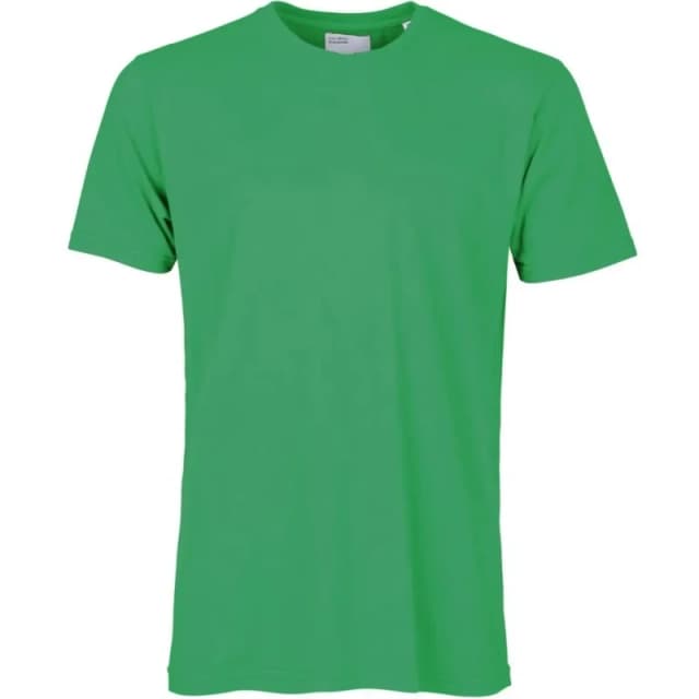 Colorful Standard T-Shirt Colorful Standard Classic Organic kelly green Vert Unisex L