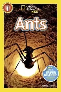 National Geographic Kids Readers: Ants by Melissa Stewart