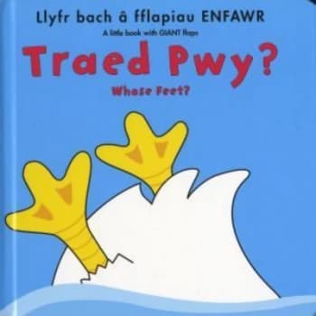 Traed Pwy by Fiona Munro Hardback