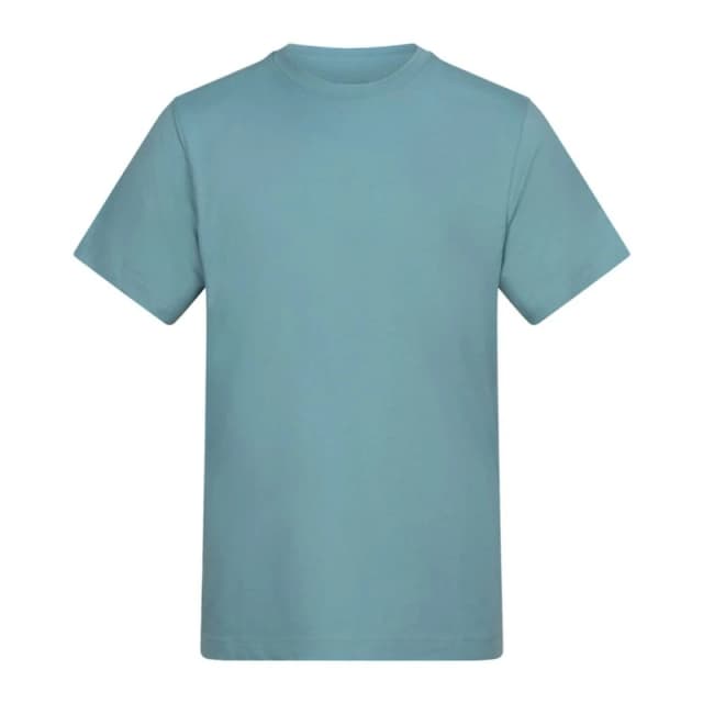 AWDis Mens 150 T-Shirt in Aqua Size: Small Aqua Male S