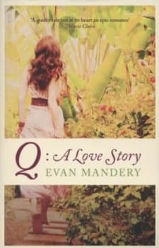 Q by Evan Mandery Book