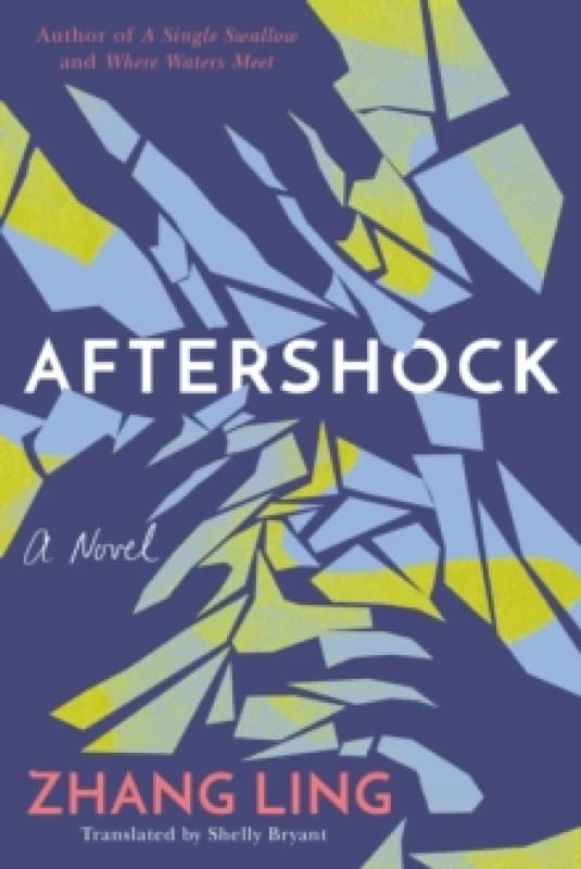 Aftershock : A Novel Paperback / softback