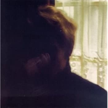 Palace Brothers - Days in the Wake Vinyl