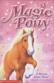 A Dream Come True by Elizabeth Lindsay Paperback