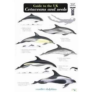 Guide to the UK Cetaceans and Seals Fold-out book or chart 2012