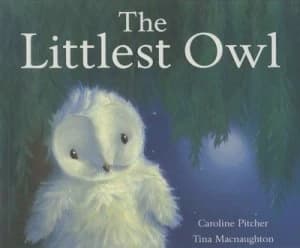 The Littlest Owl by Caroline Pitcher and Tina Macnaughton Paperback