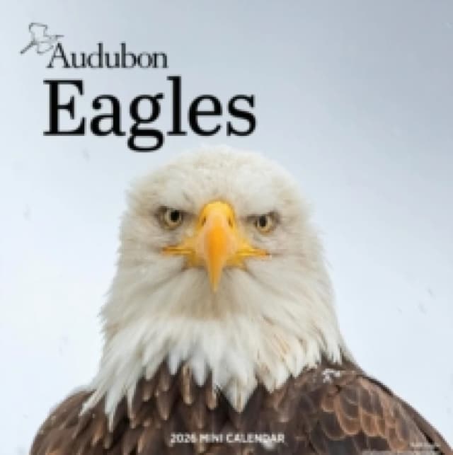 Audubon Eagles Mini Wall Calendar 2026 Calendar