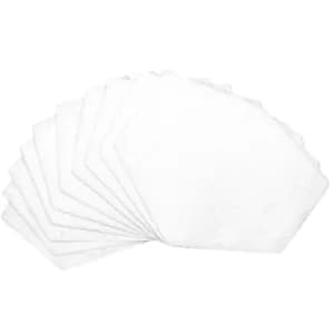 Delphis Reusable Face Mask Filters (Pack of 10)