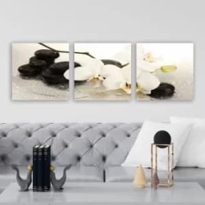 P185735 Multicolor Decorative Canvas Painting (3 Pieces)