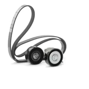 RIDEX V-ribbed belt set 542R0027 Serpentine belt kit,Auxiliary belt kit AUDI,SEAT,A4 Avant (8K5, B8),A6 Avant (4F5, C6),Q5 (8RB)