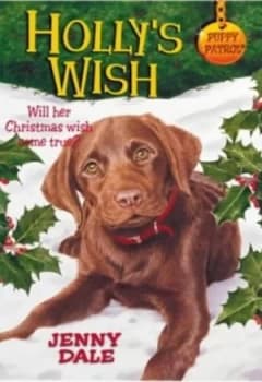 Hollys Wish by Jenny Dale and Michael Reid Book