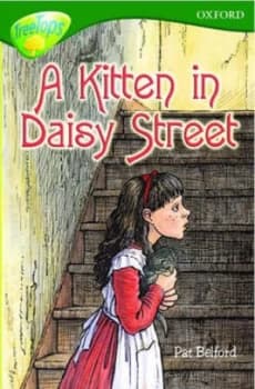 A Kitten in Daisy Street by Pat Belford and Martin J Cottam Paperback