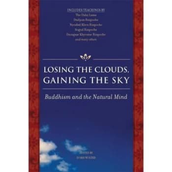 Losing the Clouds Gaining the Sky by Doris Wolter Paperback
