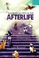 signs from pets in the afterlife identifying messages from pets in heaven