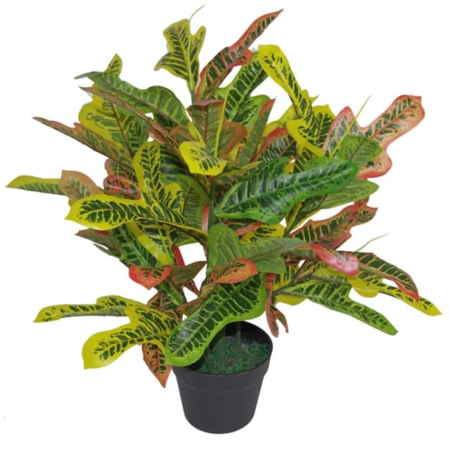 Leaf Premium 65cm Multicoloured Artificial Codiaeum House Plant