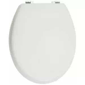 Matt White Toilet Seat - Premier Housewares