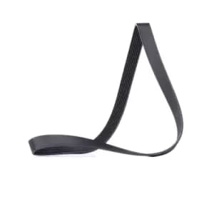 RIDEX V-ribbed belt 305P0509 Serpentine belt,Auxiliary belt OPEL,RENAULT,NISSAN,Vivaro A Kastenwagen (X83),Vivaro A Combi (X83)