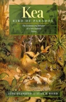 Kea Bird of Paradox by Judy Diamond Hardback