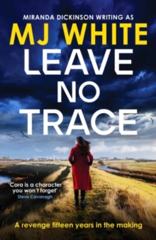 Leave No Trace : A suspenseful, twisty detective novel Paperback / softback