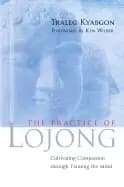 practice of lojong cultivating compassion through training the mind