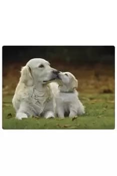 Golden Retrievers Placemats Rural Roots Set 4