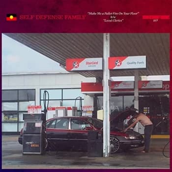 Self Defense Family - Make Me A Pallet Fire On Your Floor / Local Clerics Vinyl