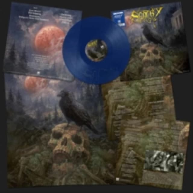 Sentry Vinyl