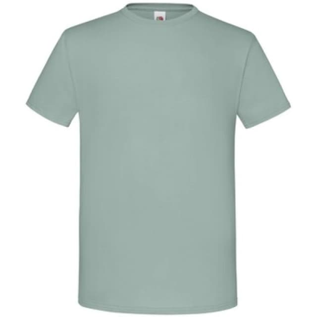 Fruit Of The Loom Fruit of the Loom Men Iconic T-Shirt in Dark Grey Size: Medium Dark Grey M Male 5063693647308