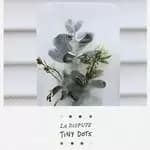 Dispute (La) - Tiny Dots (+DVD)