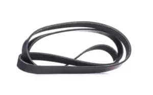 RIDEX V-ribbed belt AUDI,FORD,MAZDA 305P0069 06C903137C,1004486,1036916 Serpentine belt,Auxiliary belt,Poly V-belt,Ribbed belt,Multi V-belt,Poly belt