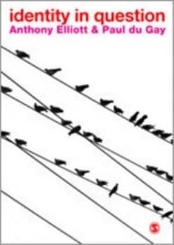 Identity in Question by Anthony Elliott Paperback