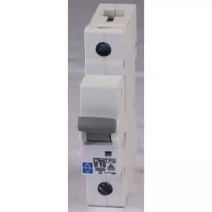 Lewden E10-1B10 Sp Type B 10A 10KA Mcb