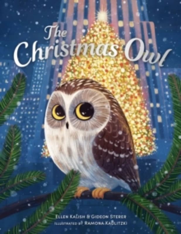 The Christmas Owl Paperback / softback